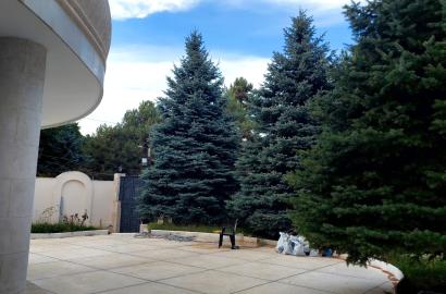 ქირავდება  ახალი  გარემონტებული  4სართულიანი  შენობა  წყნეთში